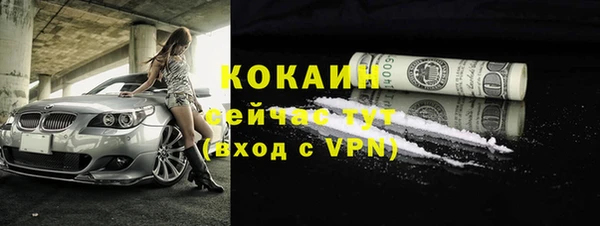 гидра Абаза