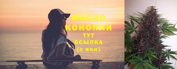 гидра Абаза