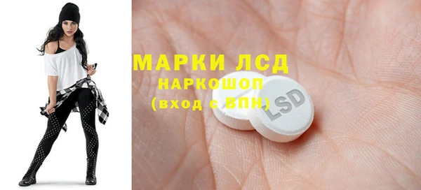 гидра Абаза