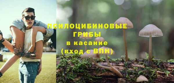 гидра Абаза