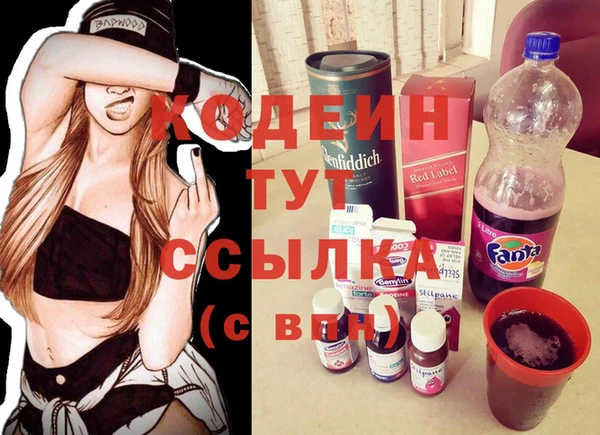 гидра Абаза