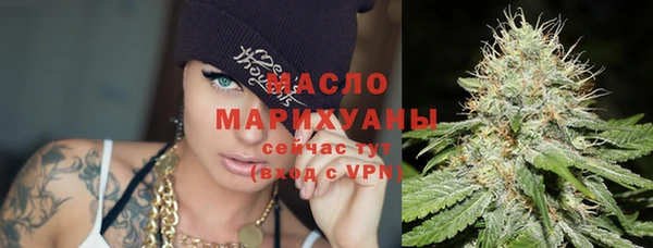 гидра Абаза